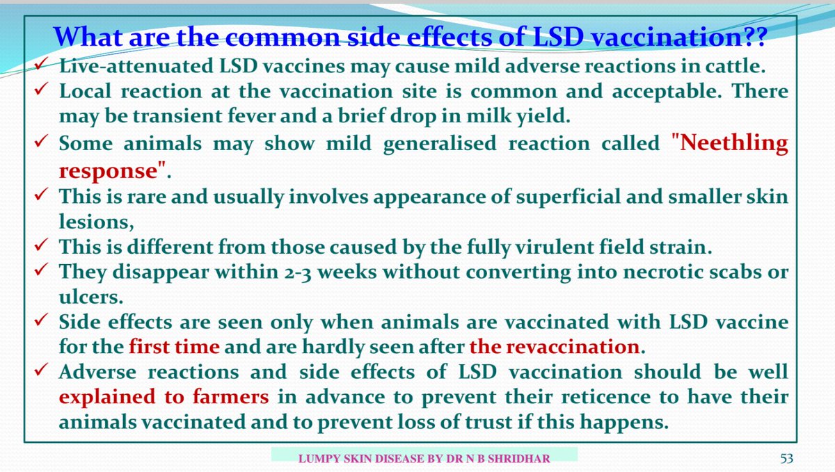 Guillau13441190's tweet photo. #Dermatose bovine,
#LSDV vaccination, effets "secondaires", rappel : même symptômes pendant 2 à 3 semaines à "expliquer aux fermiers" pour ne pas "perdre leur confiance", selon ce diaporama de 2022 de Shridar et al. #India https://t.co/2Nca6UYJ36