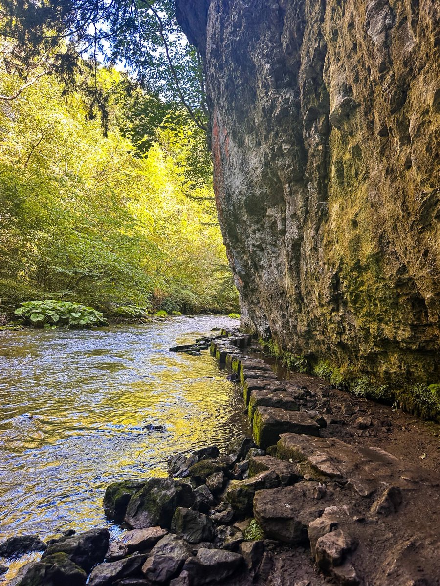 MythoBritannia's tweet image. Stepping stone nationalism.