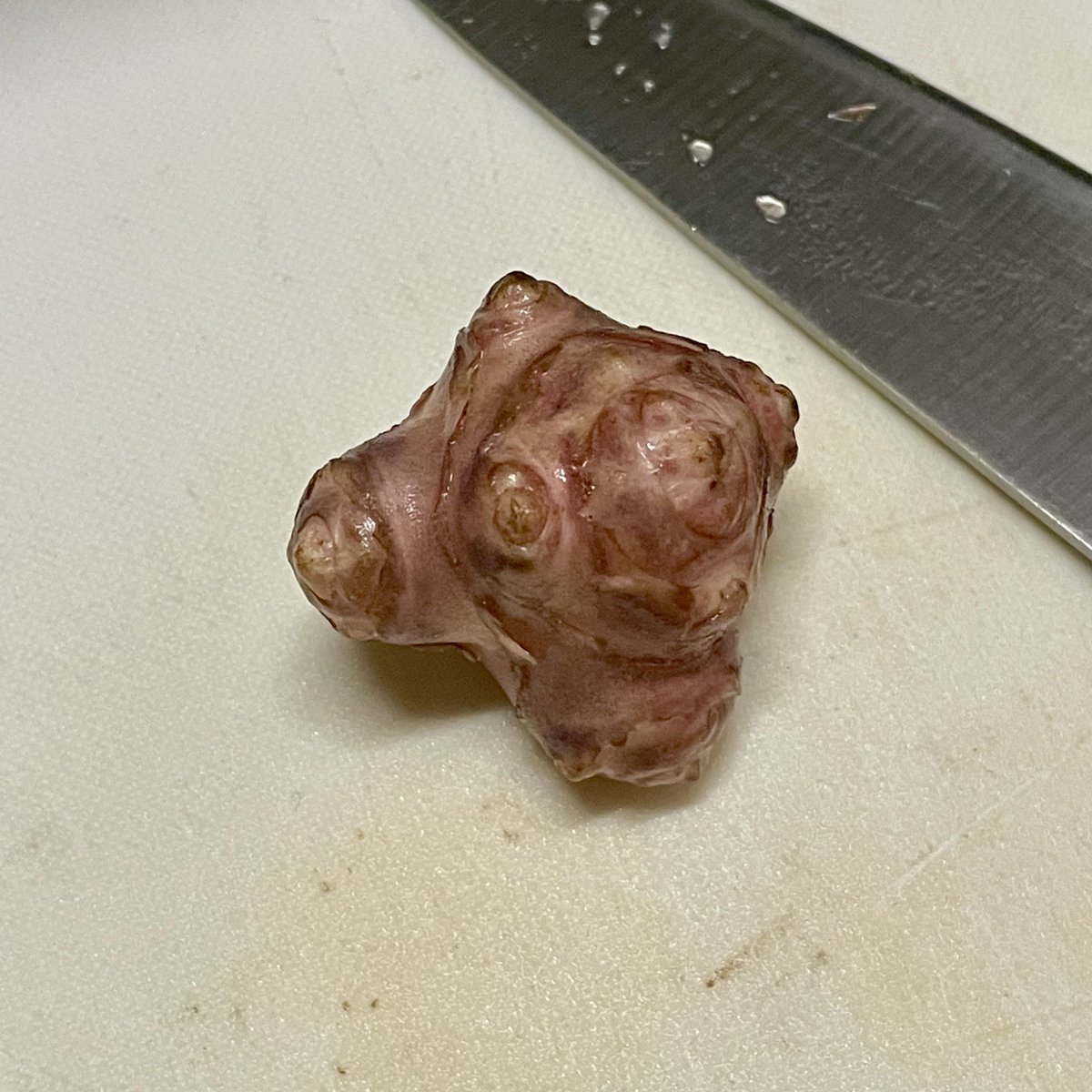 Mericansuck's tweet image. ソロモン