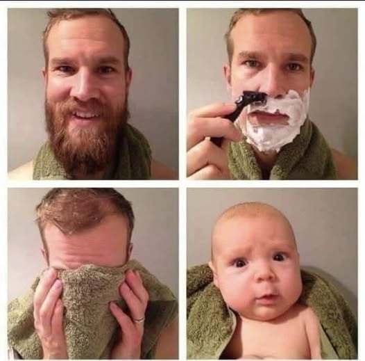 ScholarshipfPhd's tweet image. My thesis after removing plagiarism