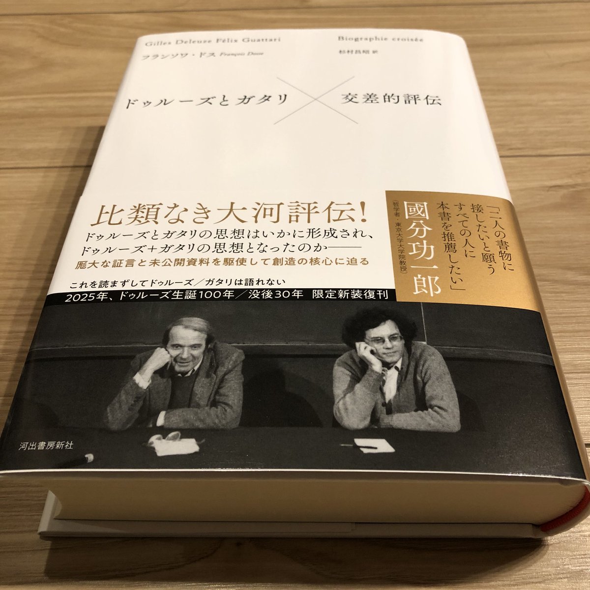 フランソワ・ドス『ドゥルーズとガタリ 交差的評伝』読了。ドゥルーズ+