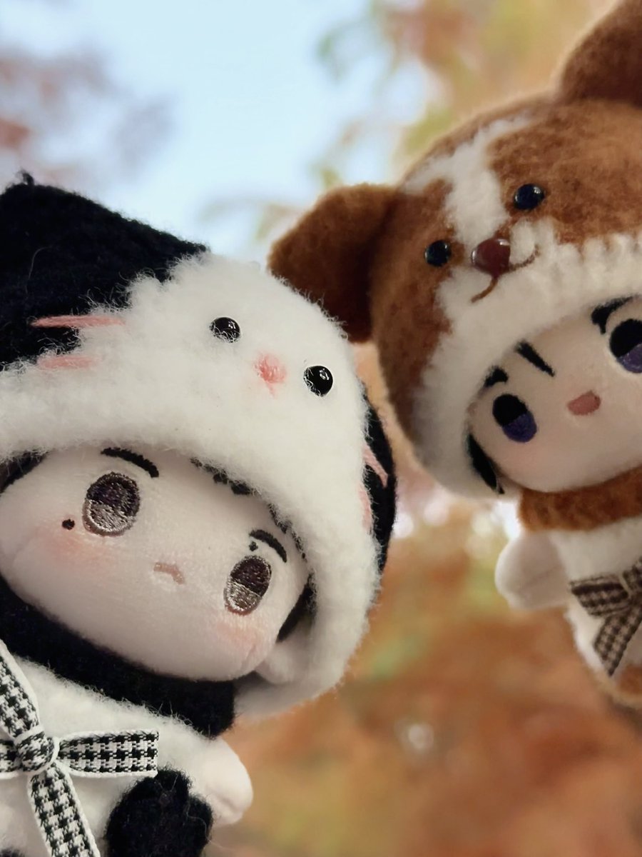 Tttruuuuu's tweet image. ༄˖°.🐈‍⬛🐕🐾🍂.ೃ࿔*:･
@anjgksidlrj 🤎

#1to10 #원투텐 #NOD