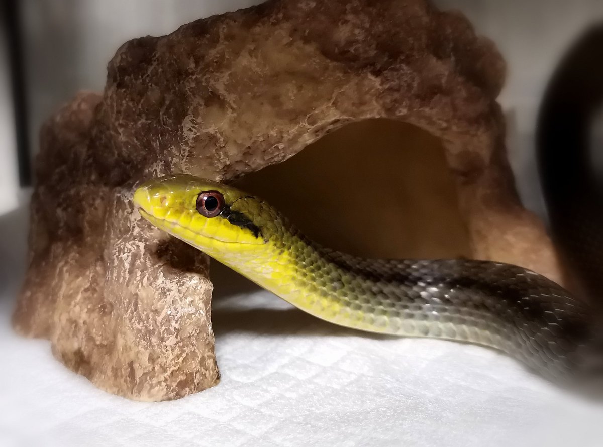 Miki (@sweetsweetdays) / Posts / X