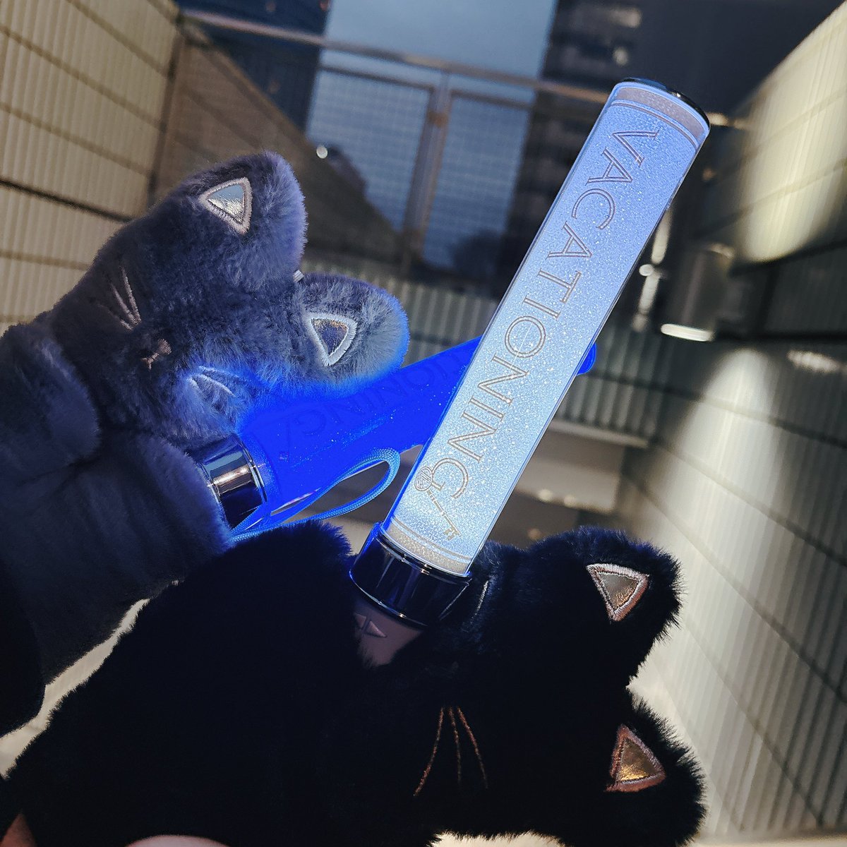 gravity_318's tweet photo. そういえば仙台の2日目から大事な友達のお誘いでマモライにお邪魔してました🥰🥰仙台は距離近くて、横浜は目の前をトロッコが通り…楽しかった〜〜♡色んな景色を見せてくれた友達にも感謝だし鍵が（行ってない場所含め）ほぼ集まりました（笑） #宮野真守VACATIONING https://t.co/MSLoCodV5c