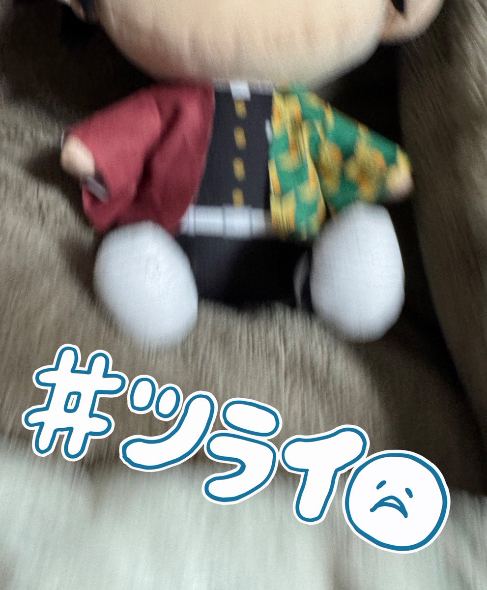 🦊ふーじ🐇初回お取引プロカ必読 (@fuuzi0422) / Posts / X