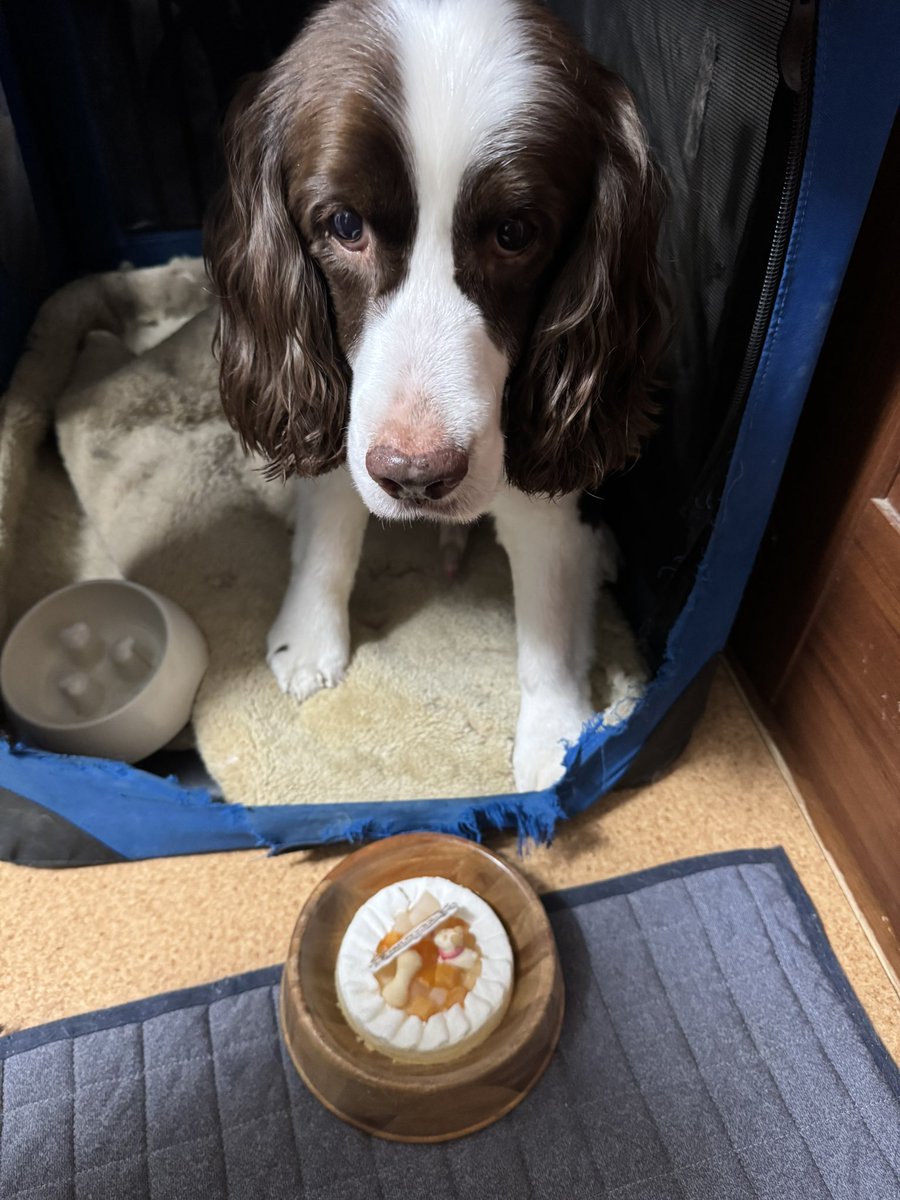 べーやん様♡専用ページです ぱらやん@アラフィフ (@parayan) / Posts / X