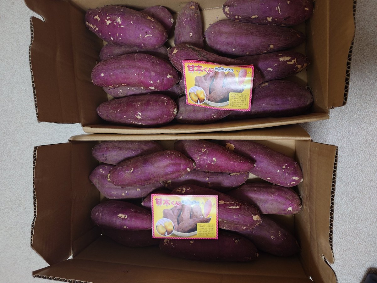 tollens_PSO2's tweet image. きちゃあああああ！！！