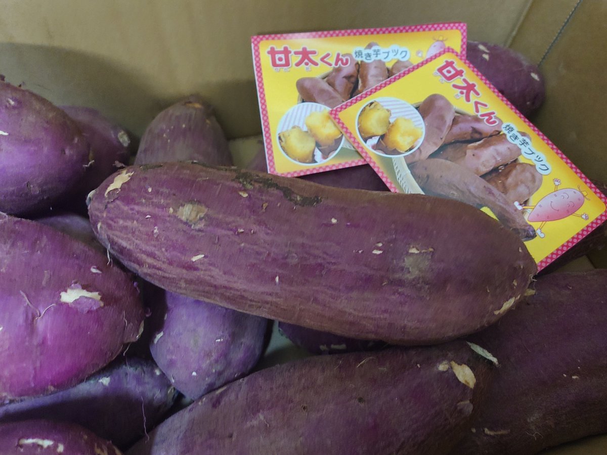 tollens_PSO2's tweet image. きちゃあああああ！！！