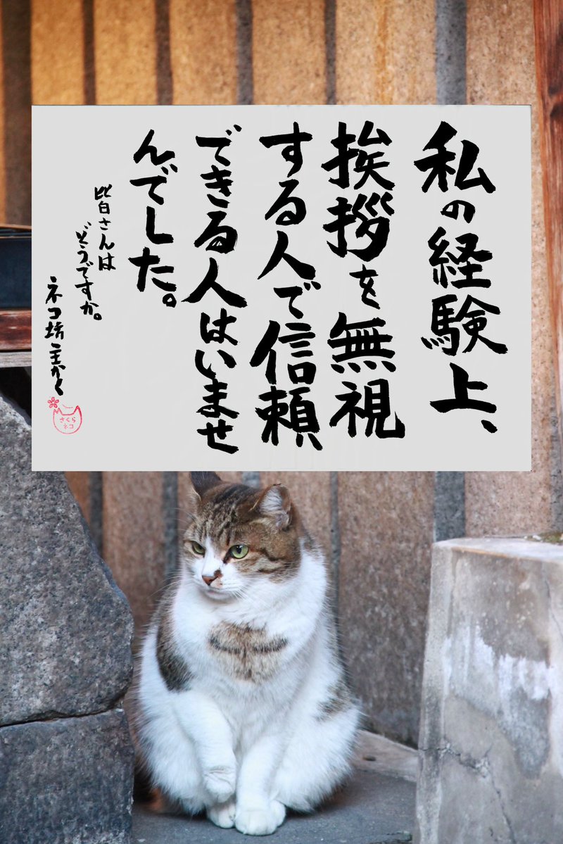 🩵七瀬 桃💋🍑 (@shining_1123ii) / Posts / X