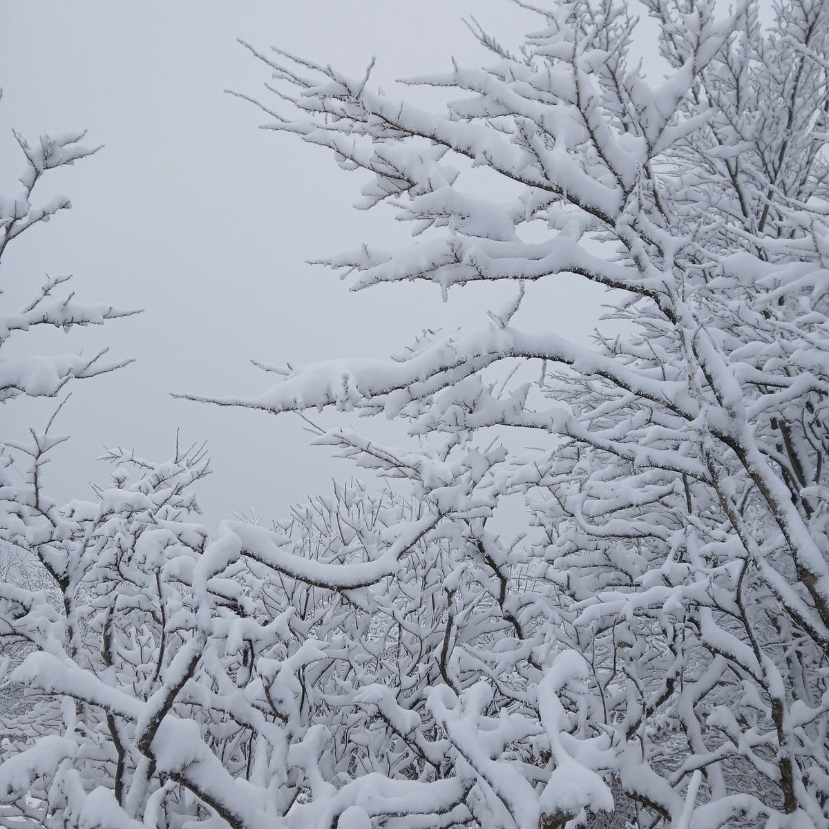 아침에 근무를 마치고 산에 올랐다.
아래서 바라본 산은 살짝 눈이 내린 모습이었다.
오를수록 쌓인 눈의 양이 많아져
마침내 눈의 나라가 되었다.
얇은 옷을 입은 채 아무런 등산 장비도 없이 정상 능선에서 바람을 만났다.
오직 두 다리의 힘으로 눈길을 지났다.
내가 만나고 싶고 즐기는 순간이