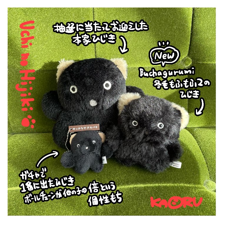 ❣️ぬぐるみまとめ売り❣️ BUCHA gurumi / やまち (@BUCHAgurumi) / Posts / X