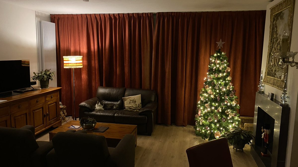 CorBuschman's tweet photo. Gezellig de kerstboom weer in huis. https://t.co/XhXbLXiZQw