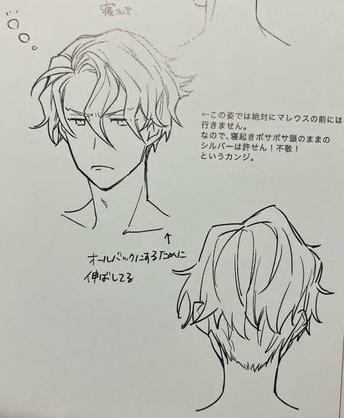 Sebek no hairgel is the cutest