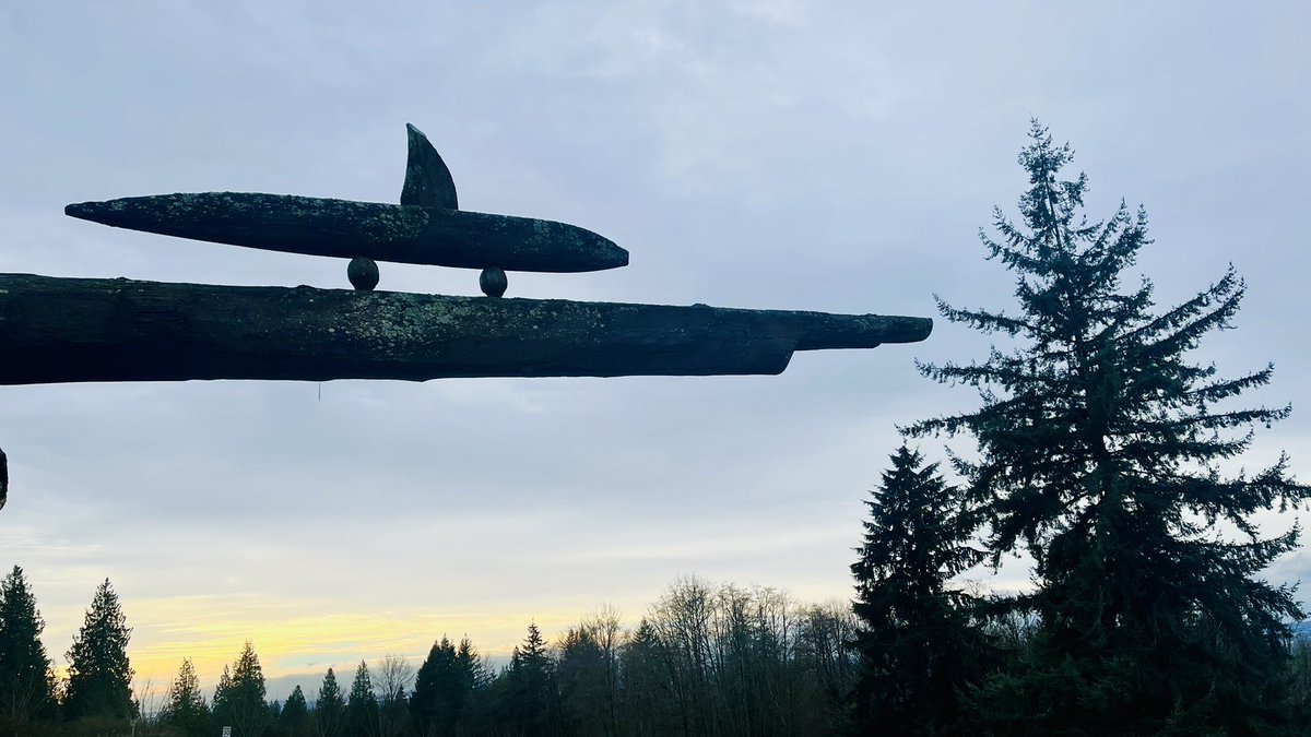 ねこころね(nekocorone)🇯🇵🇨🇦 (@nekocorone_twc) / Posts / X