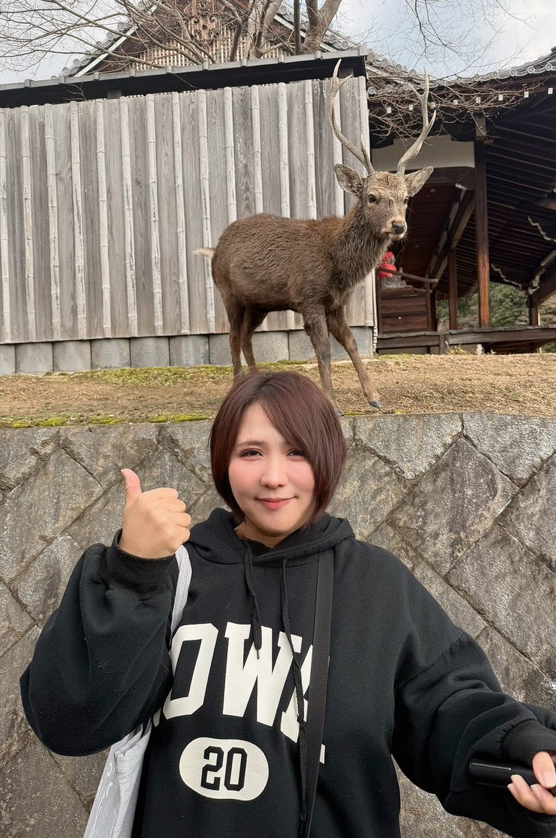 moemoetaitai♡ RT @hezumayome0000: 奈良公園の私の友達のもふ兄です。 もふ兄は私を