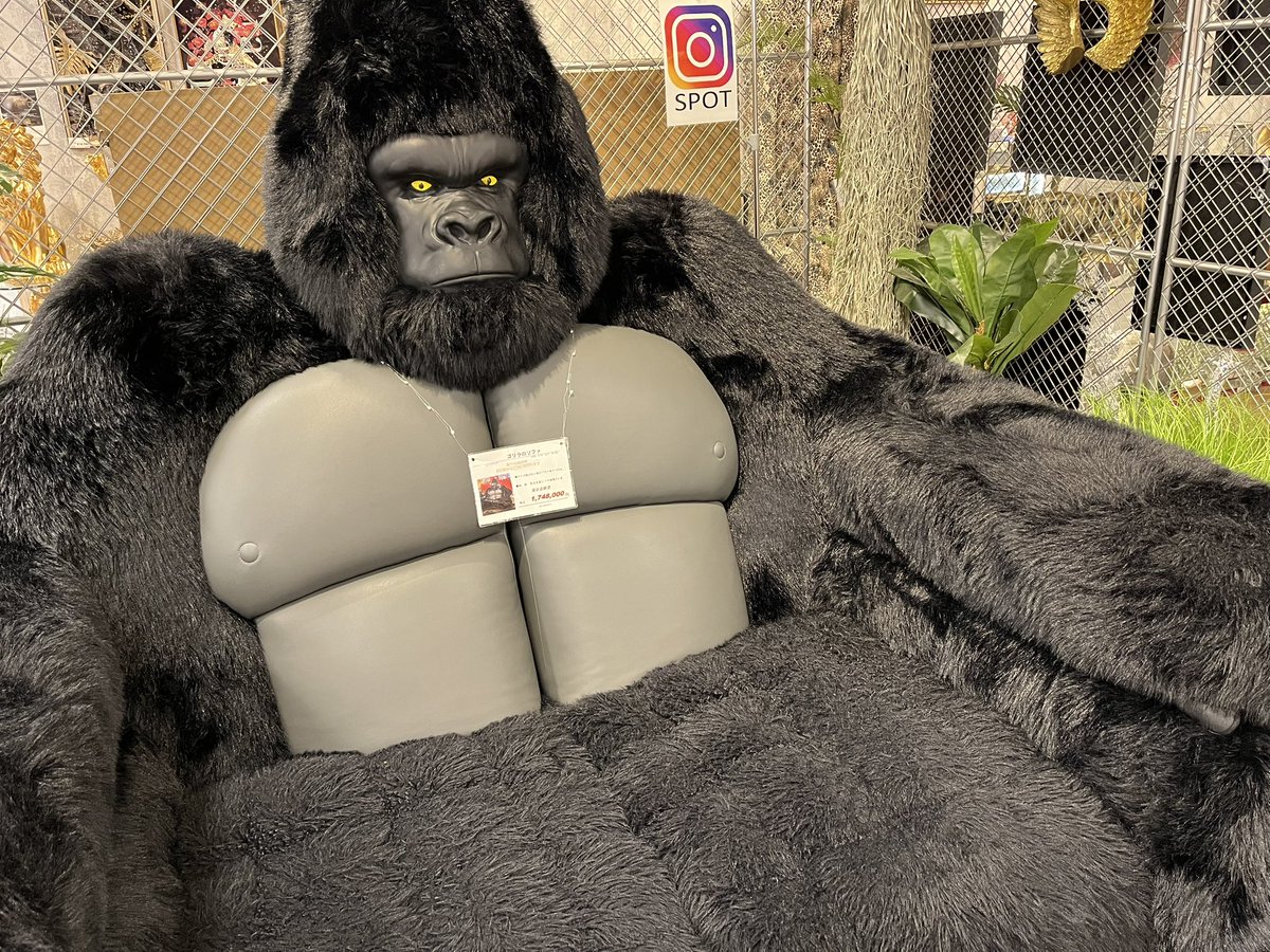 「たかゴリラ　様」専用 ゴリラソファーつくばのホームセンター山新に売ってるんだよな…