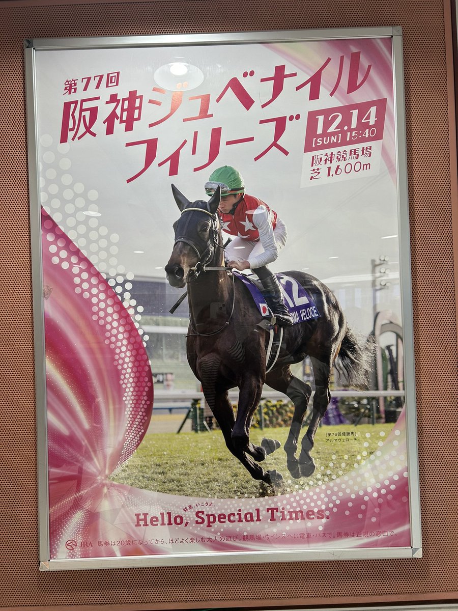 けいちゃん⭐️彡 (@Keiji_ch50) / Posts / X