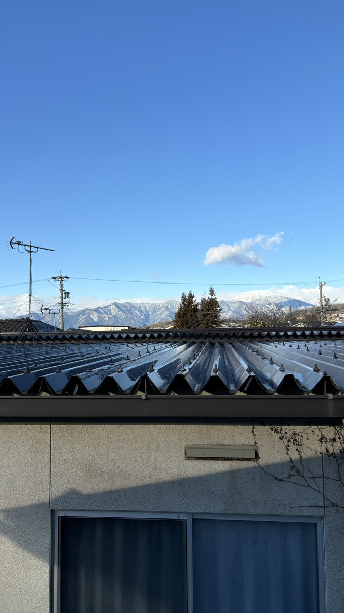 ふみ川まうり🍳 tweet media