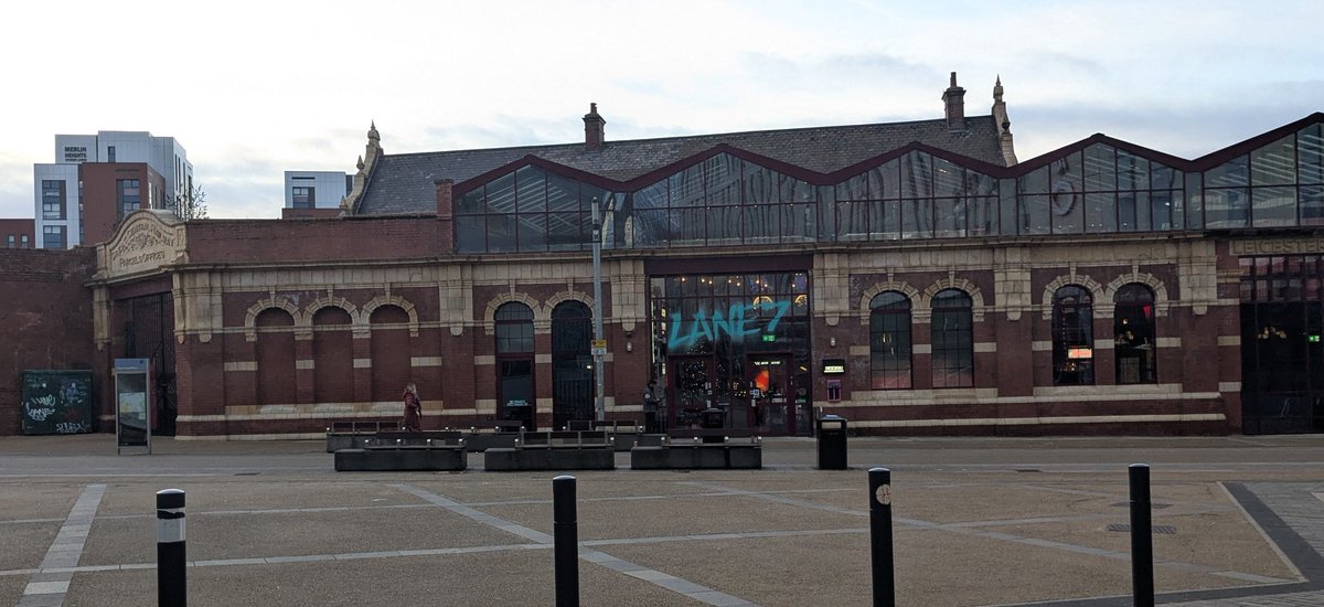 Lowiseowl 🦉 tweet media