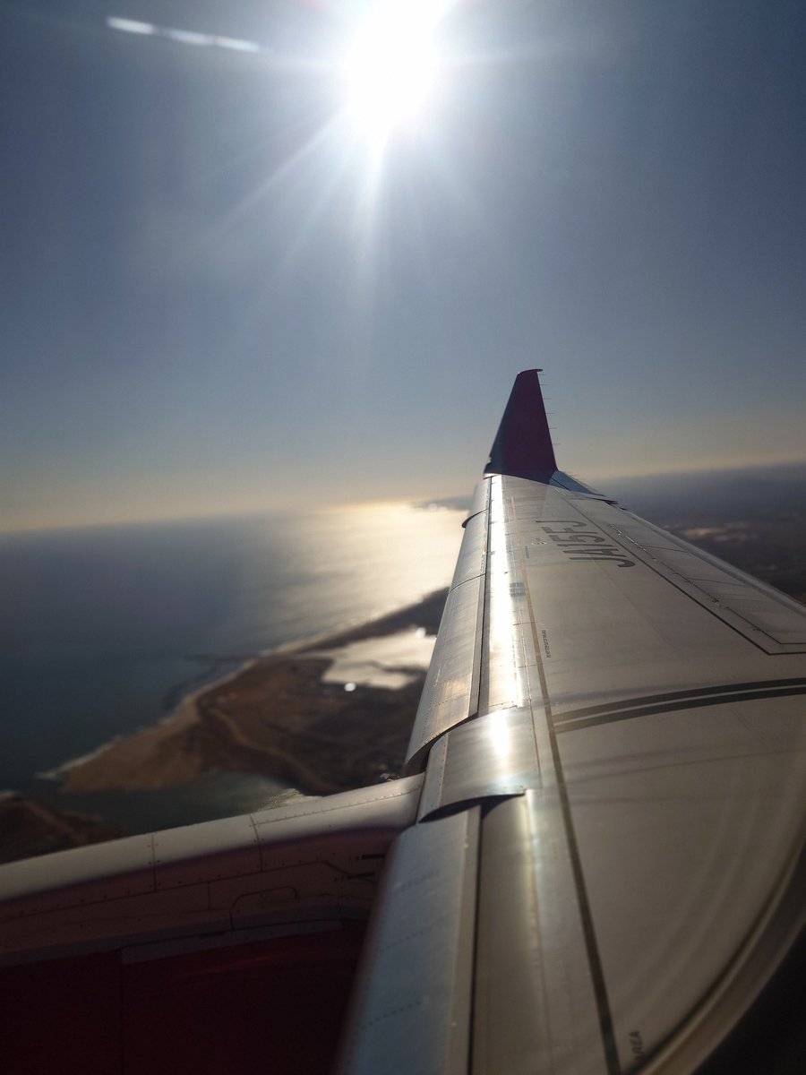 skillful【スキルフル】オカモトタクミ (@skillfullure) / Posts / X