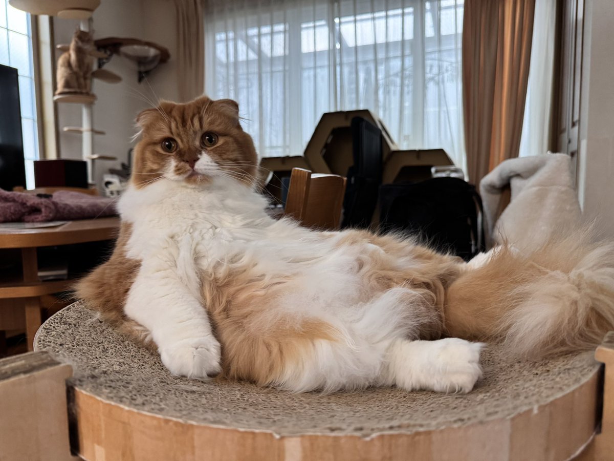 komakotakoyukote (@komakotakoyu) / Posts / X