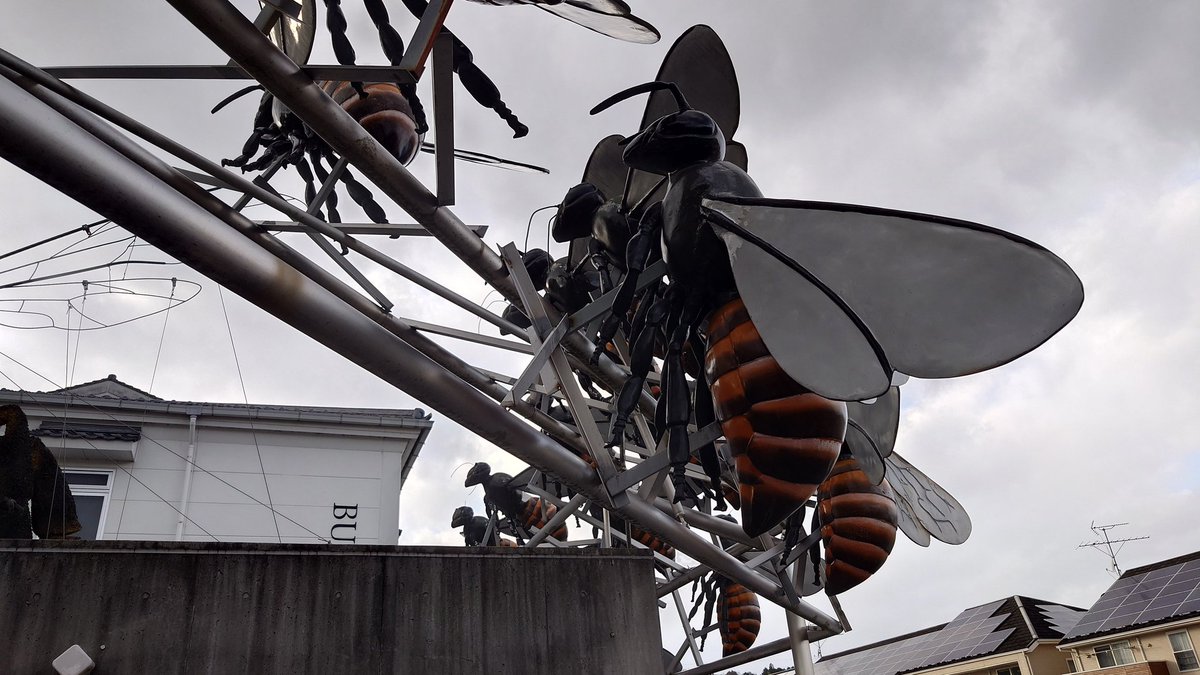 巨大な蜂に襲われる😱