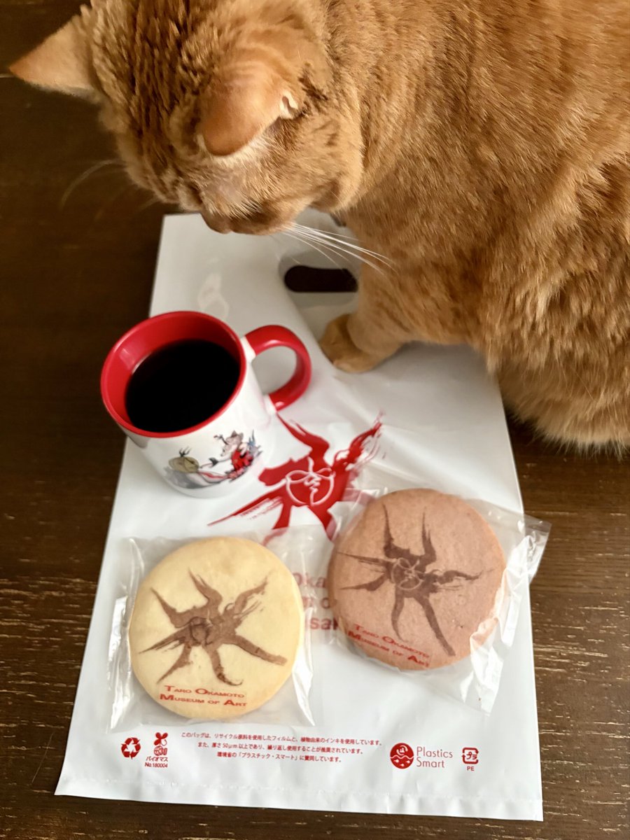 今日17:30からのセンチュリーシネマ『応援してはいけない上映』に参加します〜🪬✨

まだまだ空席多数💦
東海エリアの皆さ〜ん！一緒にタローマンをディスりましょ〜〜🤣
（写真と本文は無関係です）

センチュリーシネマHP
starcat-ticket.com/cc/theater/cen…
#タローマン #センチュリーシネマ