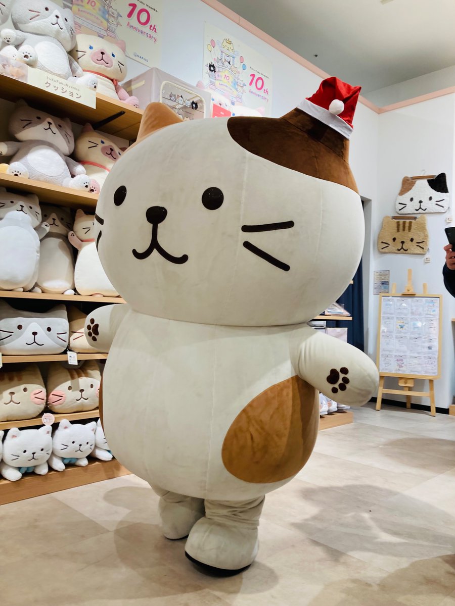 すみにゃ様専　　福岡　11/13 ✨5/21〜5/4新作紹介✨