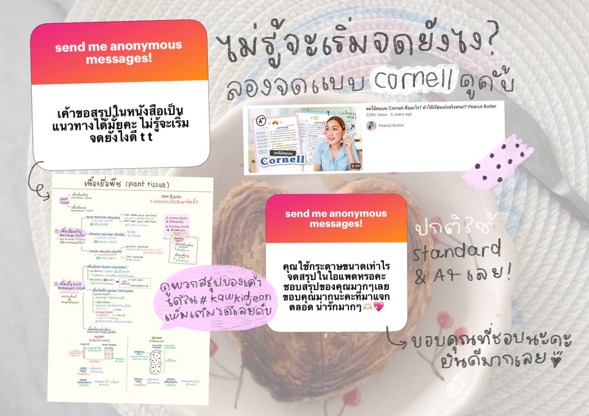 blinkkuediary's tweet image. ⭐️จดแบบcornellช่วยจริงๆ สำหรับคนไม่รู้ว่าจะเริ่มจดยังไงเค้าแนะนำาา youtu.be/Qyj6ZeL-eHc?si… ｡˚⋆ #qnakidjeon