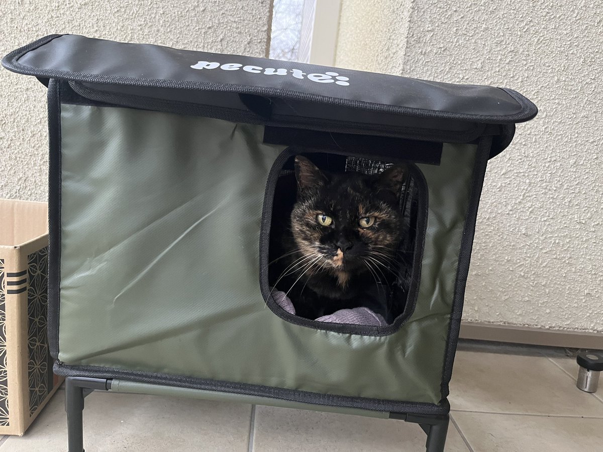 やっちゃん (@fabulous_511) / Posts / X