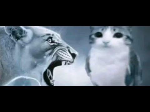 Winata (@natflicksss) on Twitter photo 