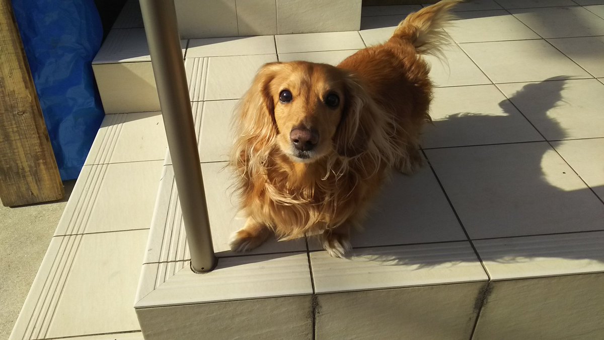 りんパパ2022NUEVO (@2022NUEVO1) / Posts / X