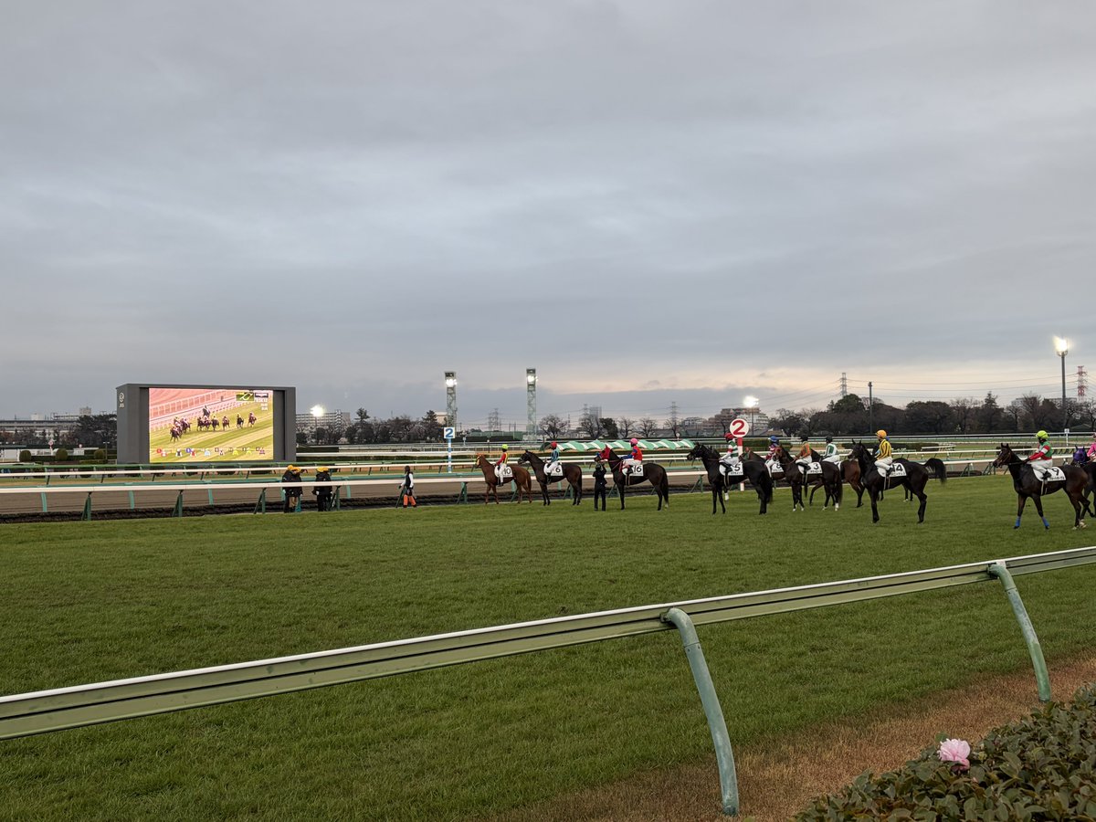 みんな見てるｗｗｗｗｗｗｗｗｗｗ