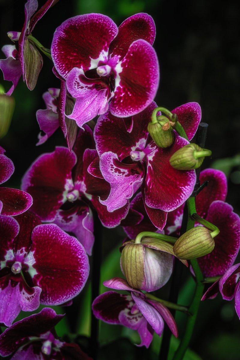 Gm, fam.
Just a random shot I took recently.