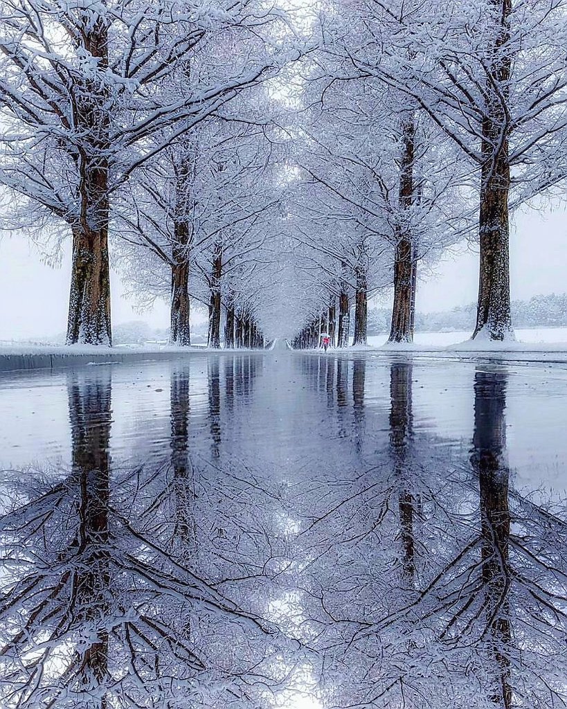 DesignSemo's tweet image. 