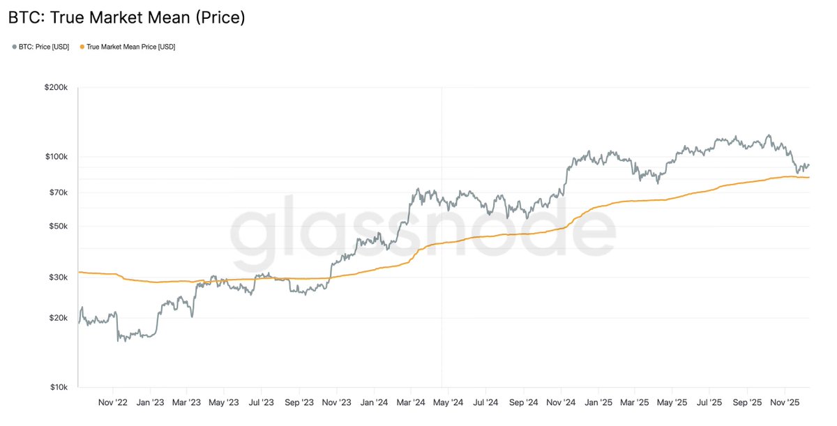 📈MINDTHECHART: "Bitcoin: Supporto solido nell'area 80k e domanda attiva degli investitori"