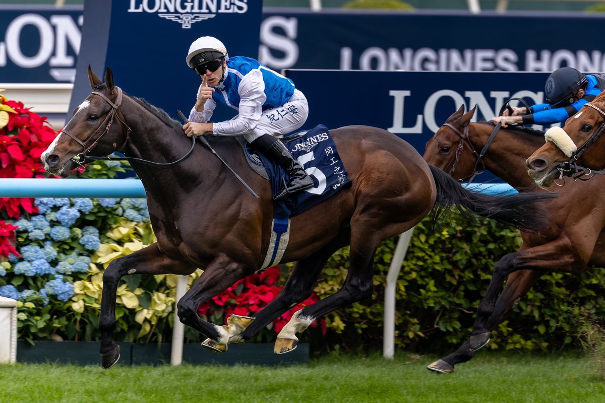 le_courage0610's tweet photo. ソジー Sosie
（2025/12/14 4R #香港ヴァーズ #HongKongVASE）
#ギュイヨン 騎手
#MaximeGuyon
#シャティン 競馬場
#香港国際競走 https://t.co/waYWQTjje3
