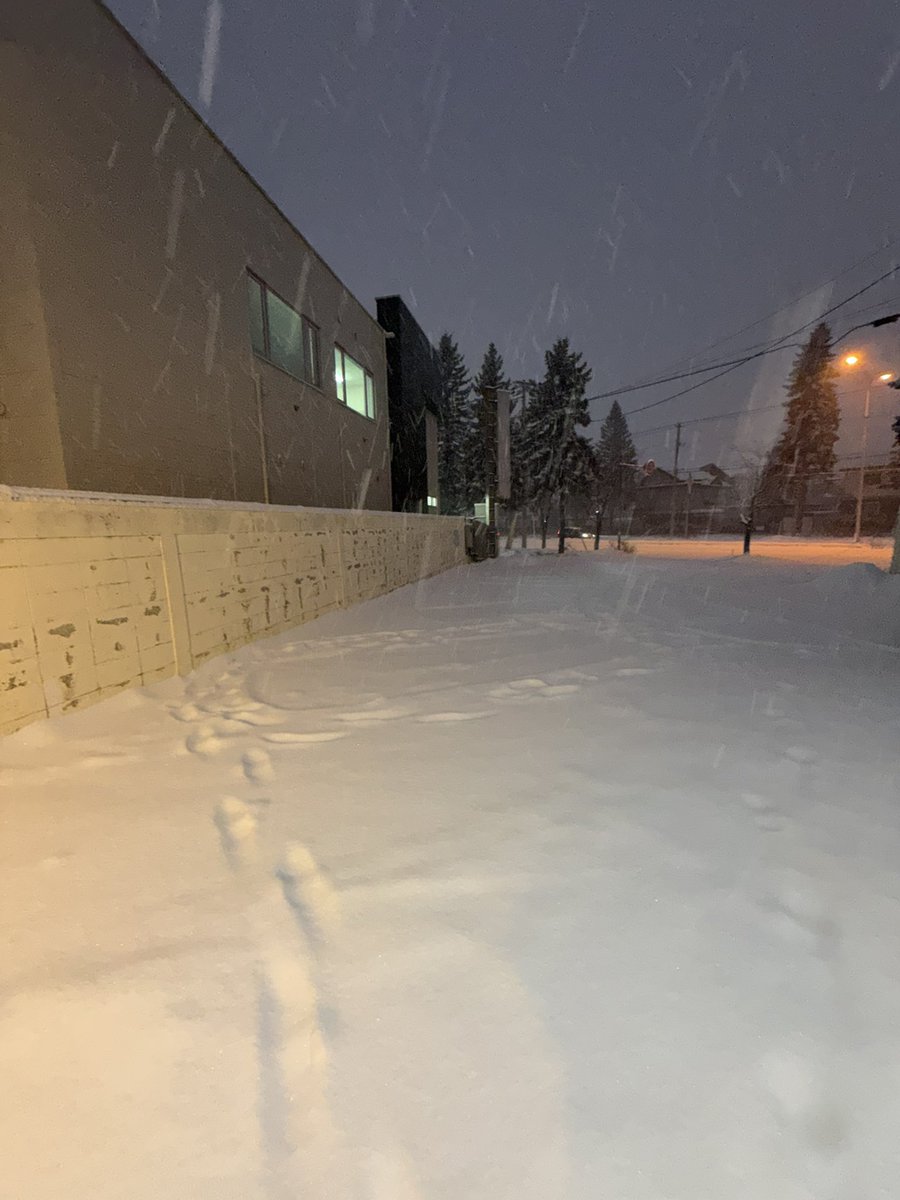 orgacenter080's tweet image. 今日はなかなかの雪です。
皆さん、お気をつけて！
#大雪
#帯広