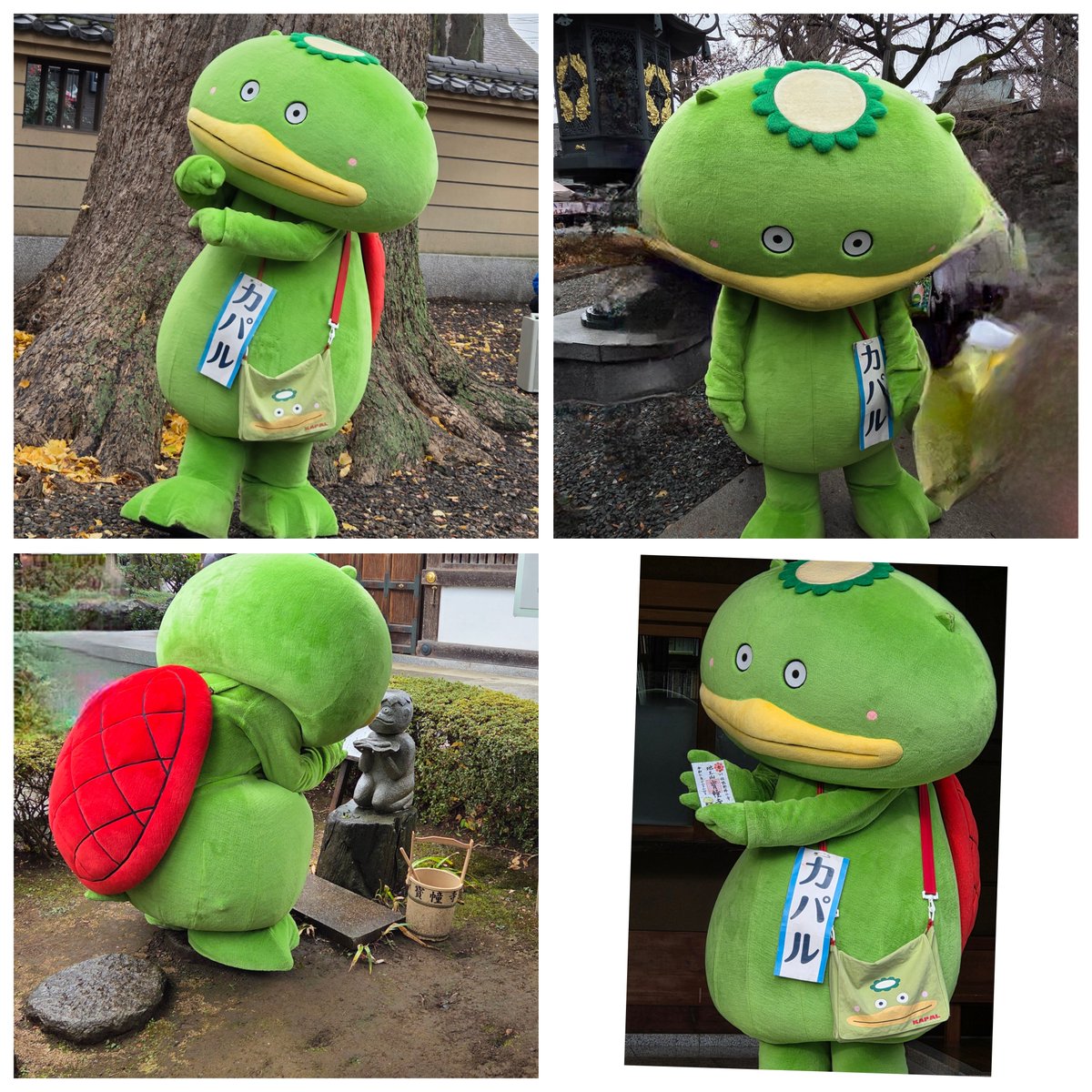 まるねこ (@maruneko_888) / Posts / X