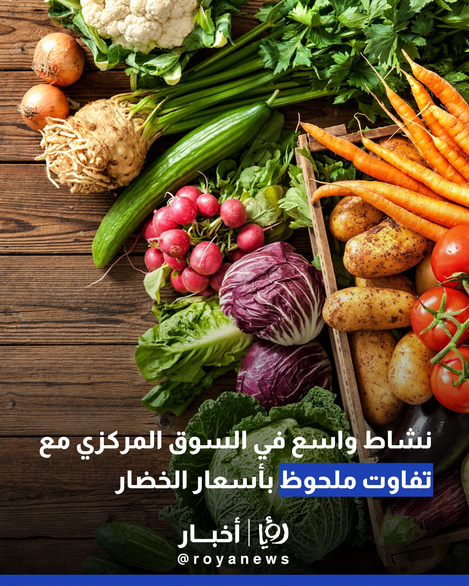 نشاط واسع في السوق المركزي مع تفاوت ملحوظ بأسعار الخضار 