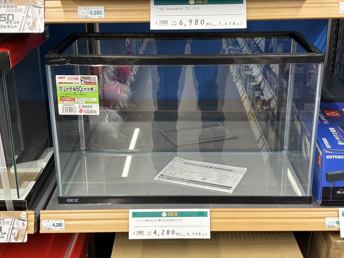 水槽 My Style 初心者におすすめって言われてる60cm水槽 デカすぎやろ… 初心者が