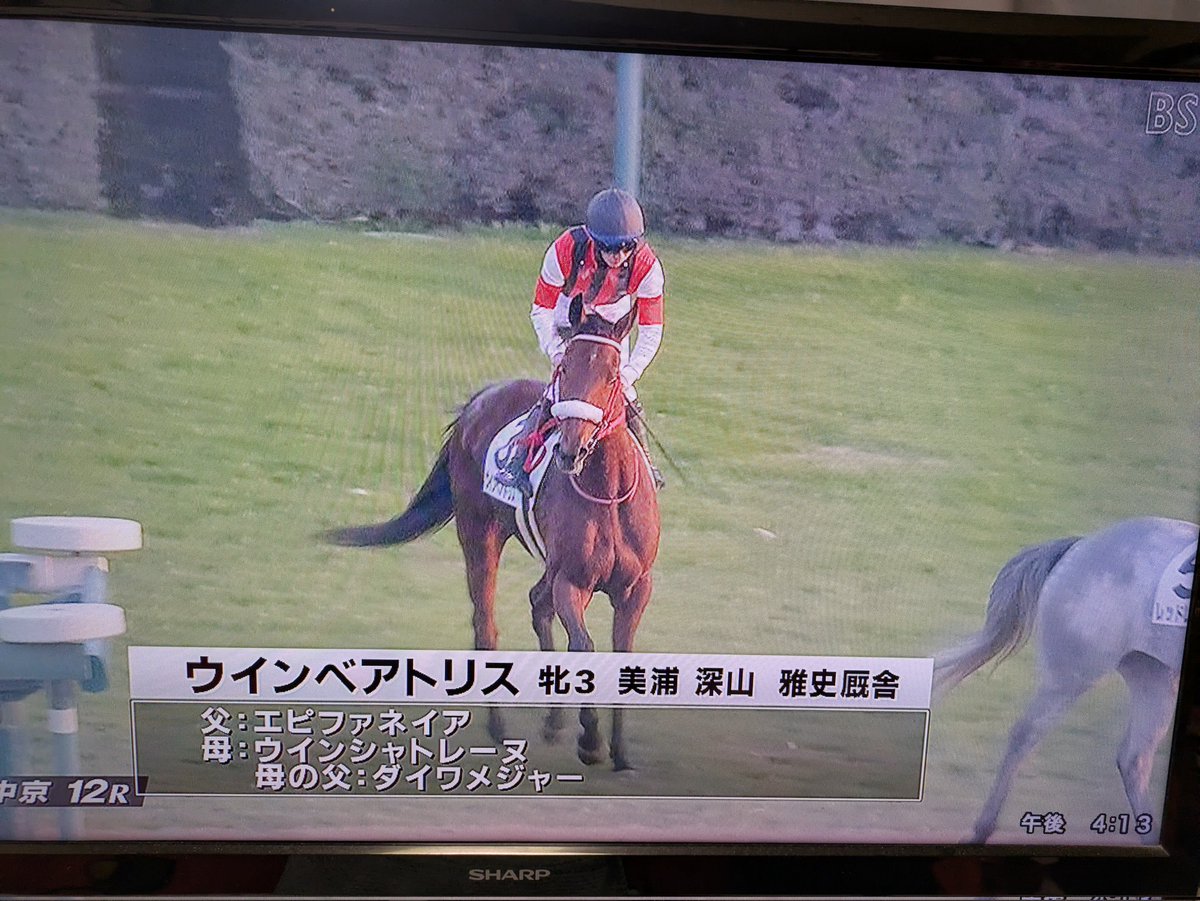ベアトリス、おめでとうございます🎉🎉🎉スゴイ差し切り勝ちで、落ち込んだ気持ちが救われました🙏