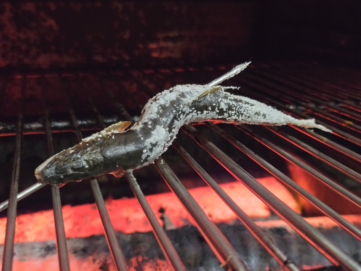 あゆを、焼いているのです。 一尾ずつ、丁寧に焼いているのです