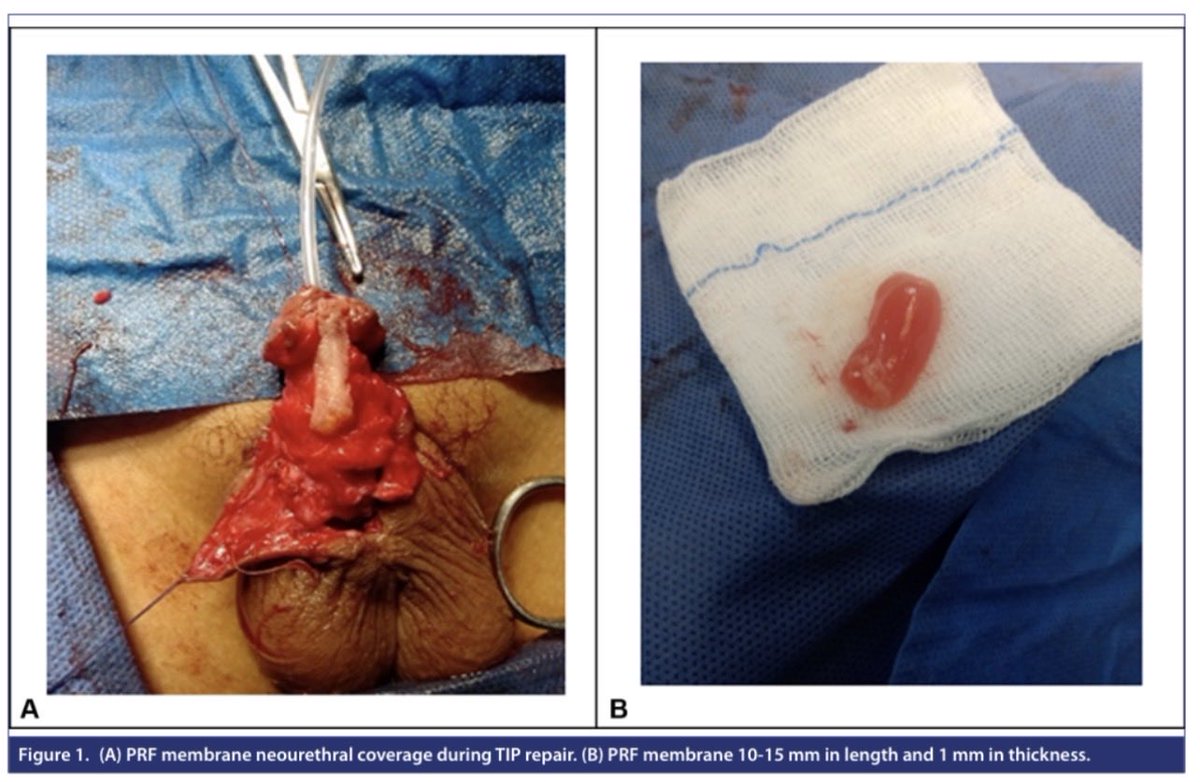 Urology Research and Practice tweet media