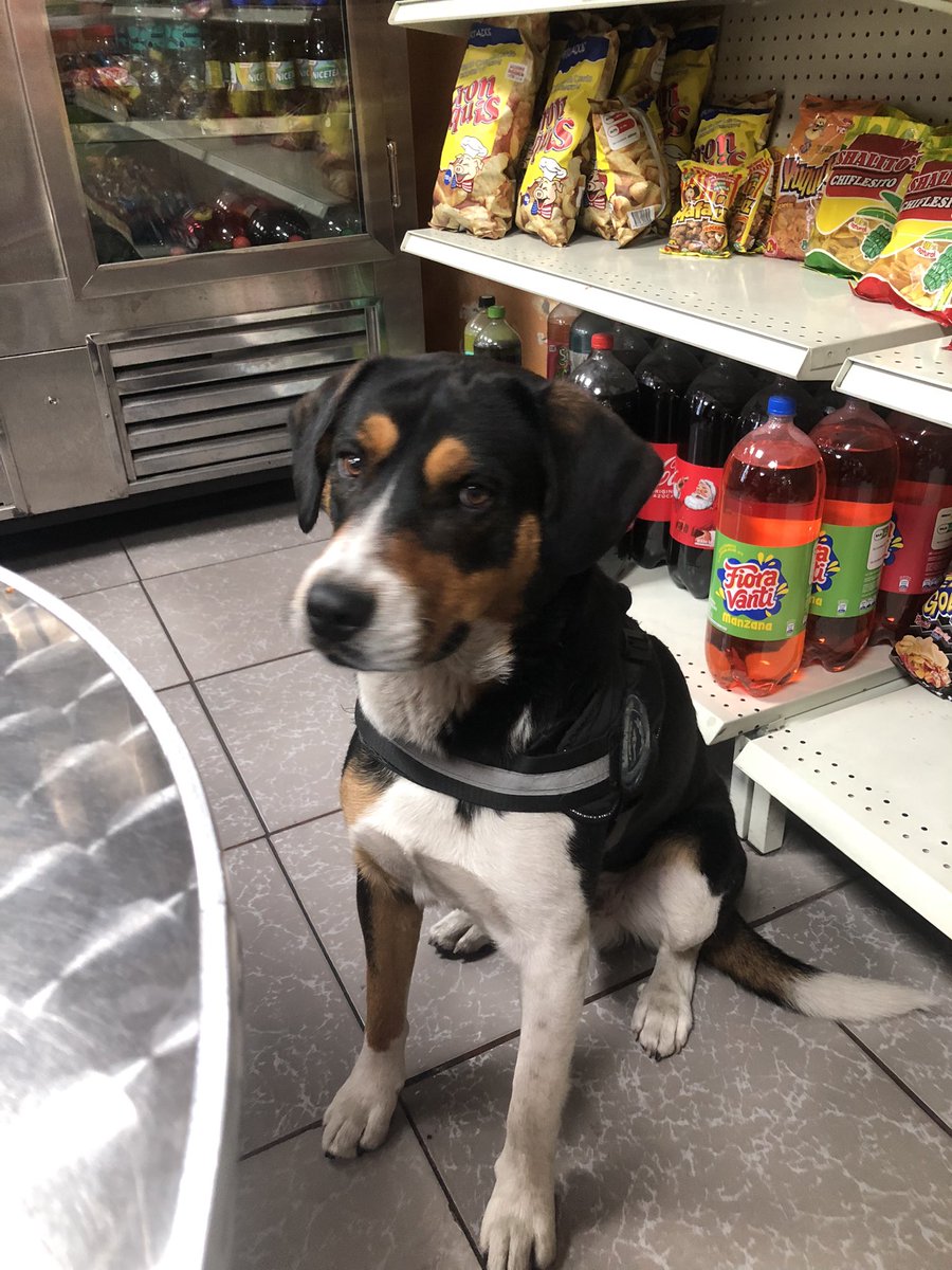 le valió verga la fioravanti