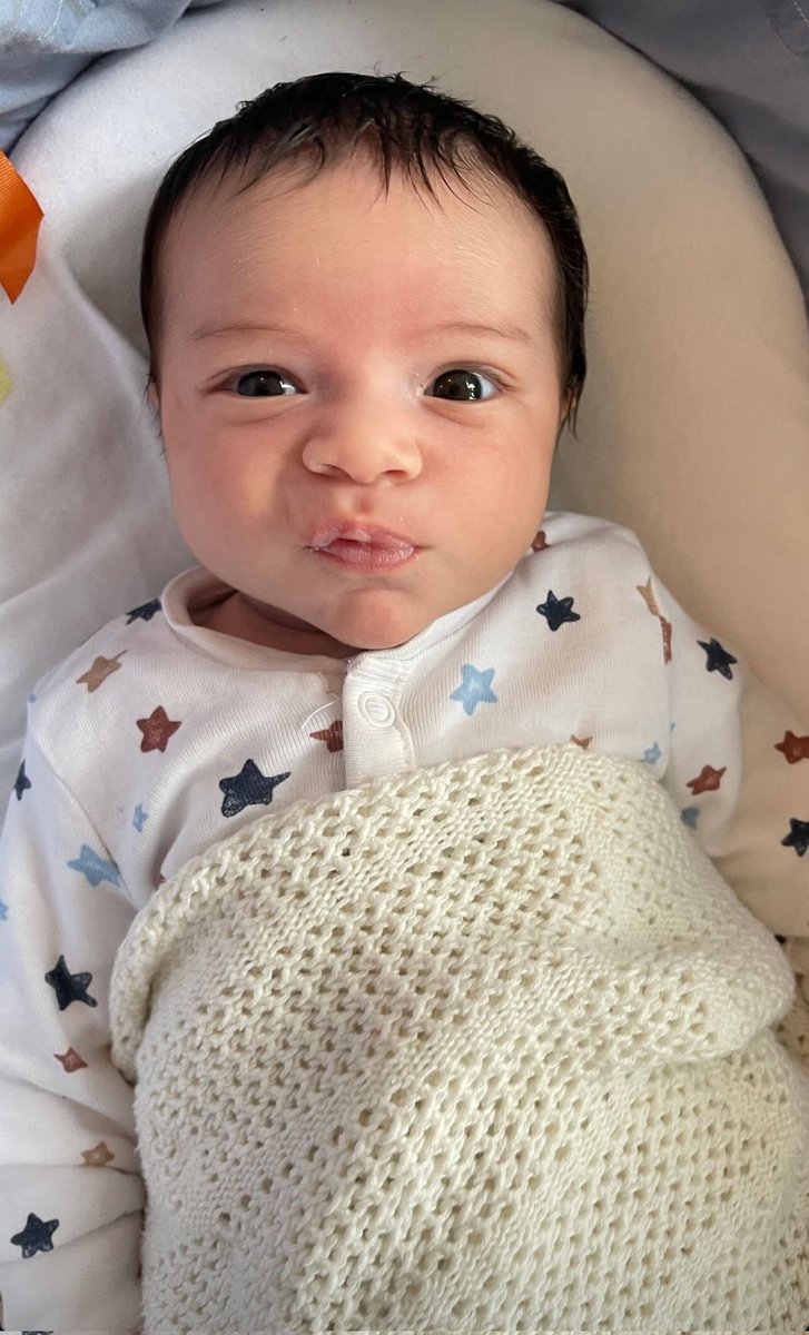 Liam Bailey tweet media