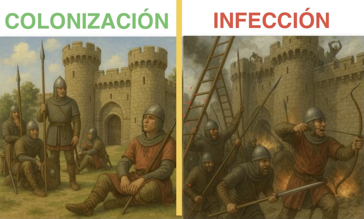 S.Enf.Infecciosas HRUM tweet media