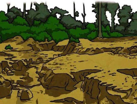 “कितनी भयावह बात है कि हमें पर्यावरण की रक्षा के लिए अपनी ही सरकारों से संघर्ष करना पड़ता है।”