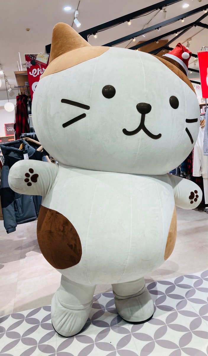 Fuku Fuku Nyanko(ふくふくにゃんこ) (@fukufuku_nyanko) / Highlights / X