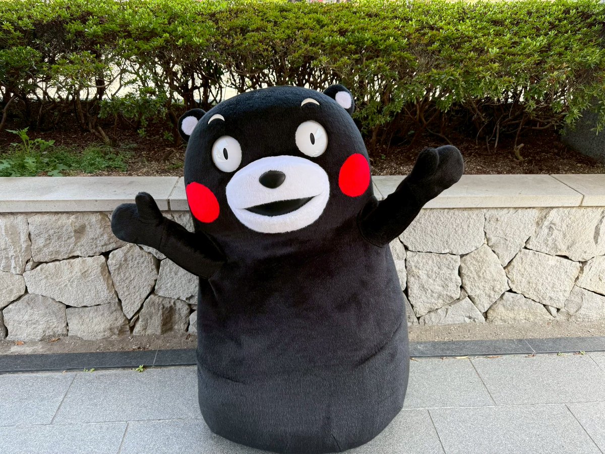 おはくま〜！今日も1日よろしくま☆